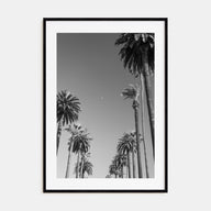 California Photo B&W No 4 Poster