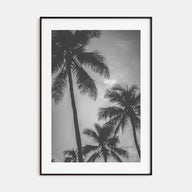 California Photo B&W No 5 Poster