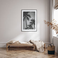California Photo B&W No 5 Poster