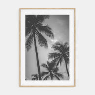 California Photo B&W No 5 Poster