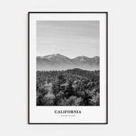 California Portrait B&W No 3 Poster