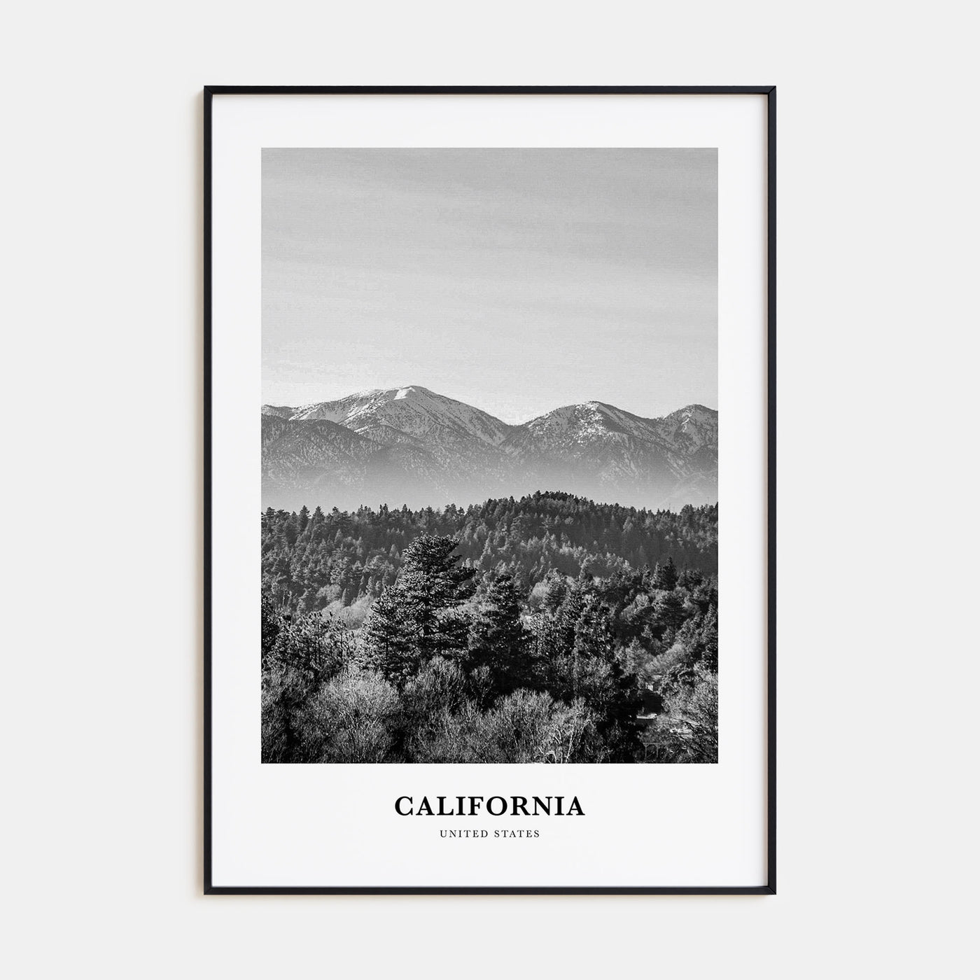 California Portrait B&W No 3 Poster