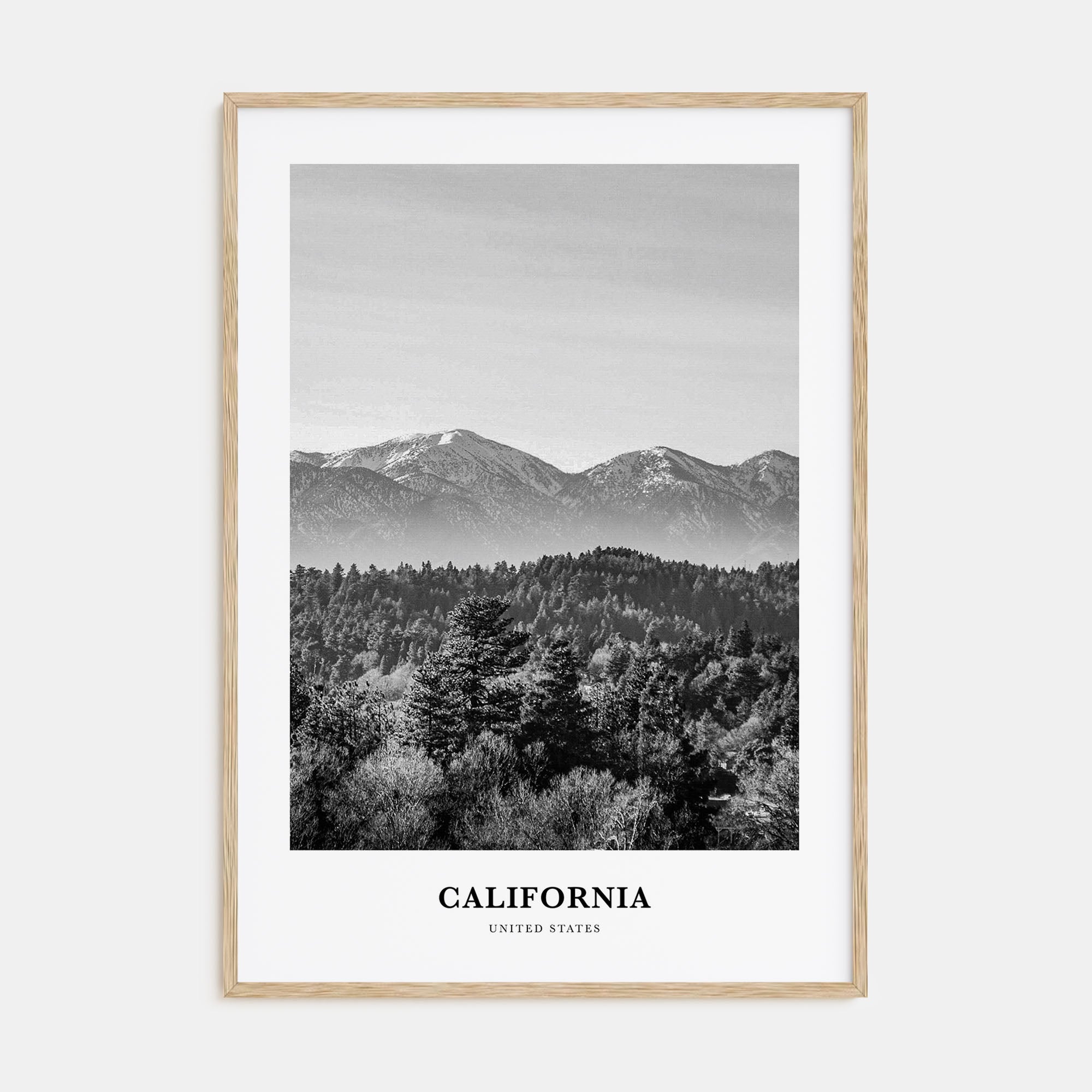 California Portrait B&W No 3 Poster