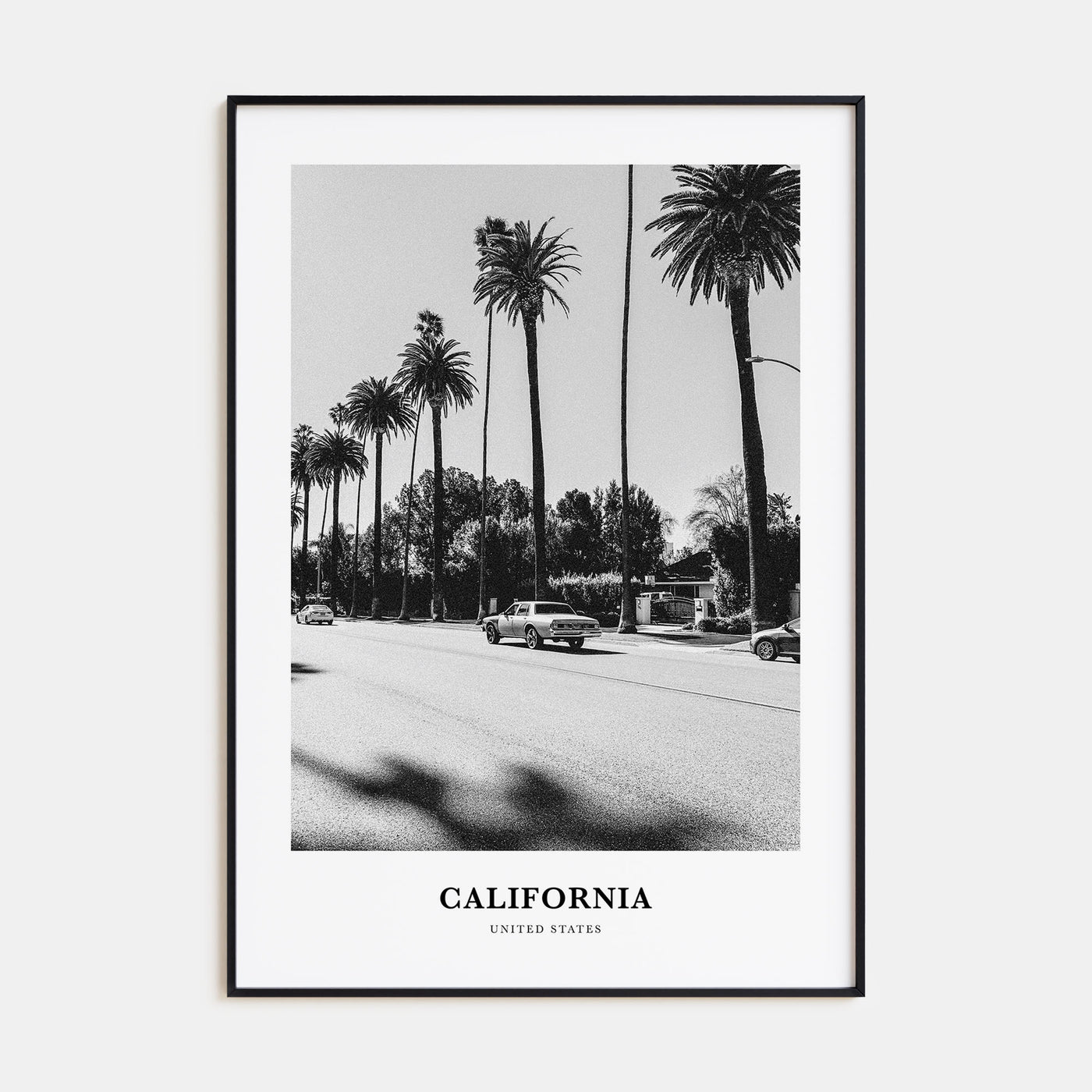 California Portrait B&W No 4 Poster