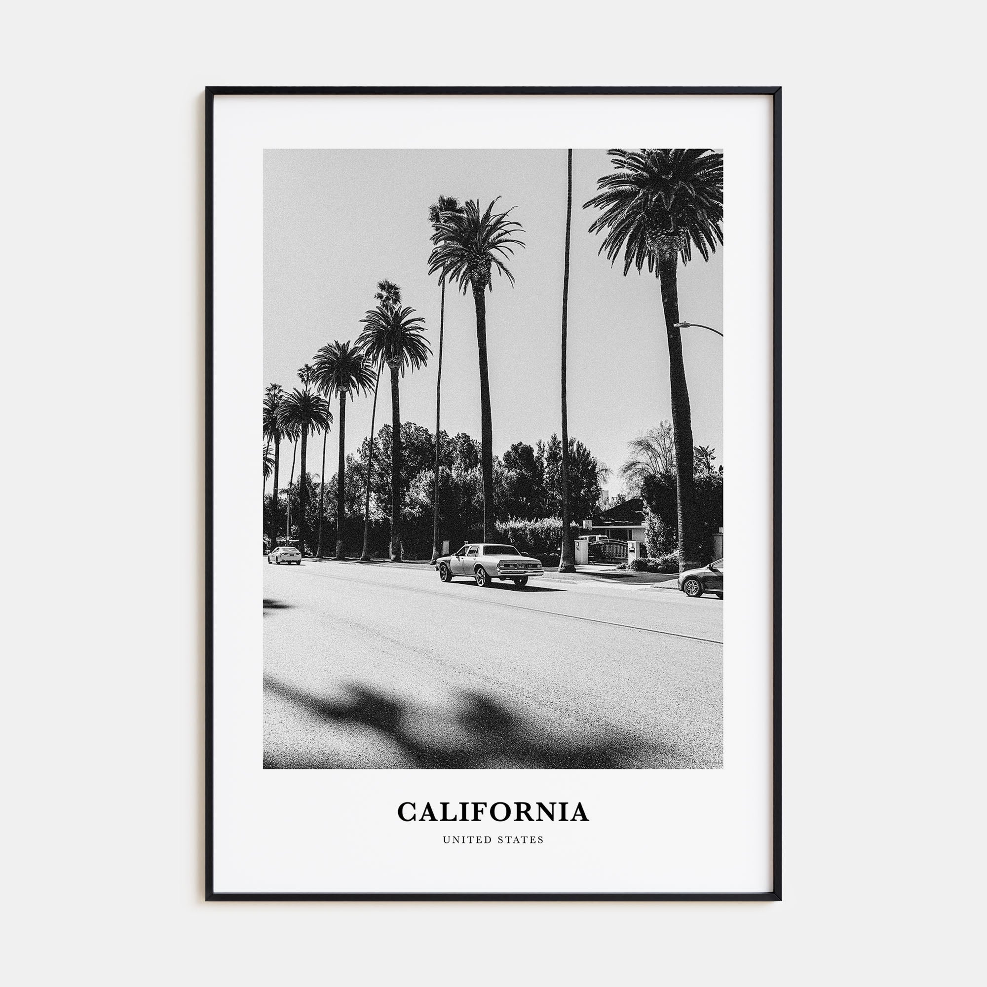 California Portrait B&W No 4 Poster