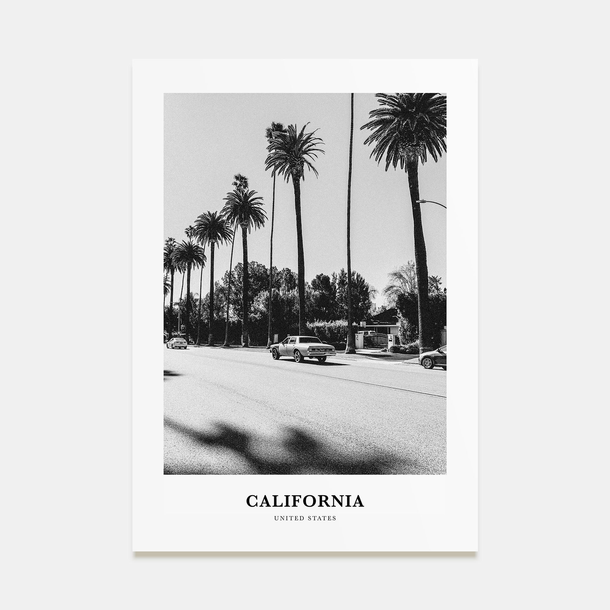 California Portrait B&W No 4 Poster