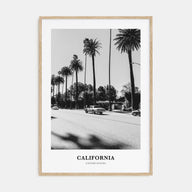 California Portrait B&W No 4 Poster