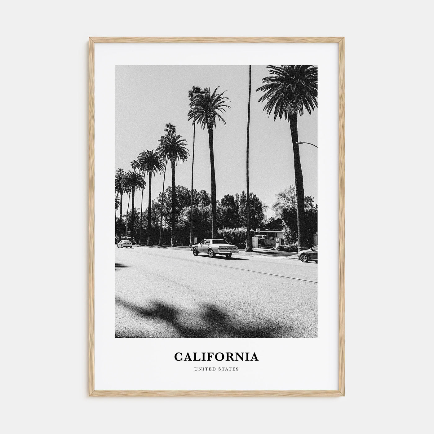 California Portrait B&W No 4 Poster