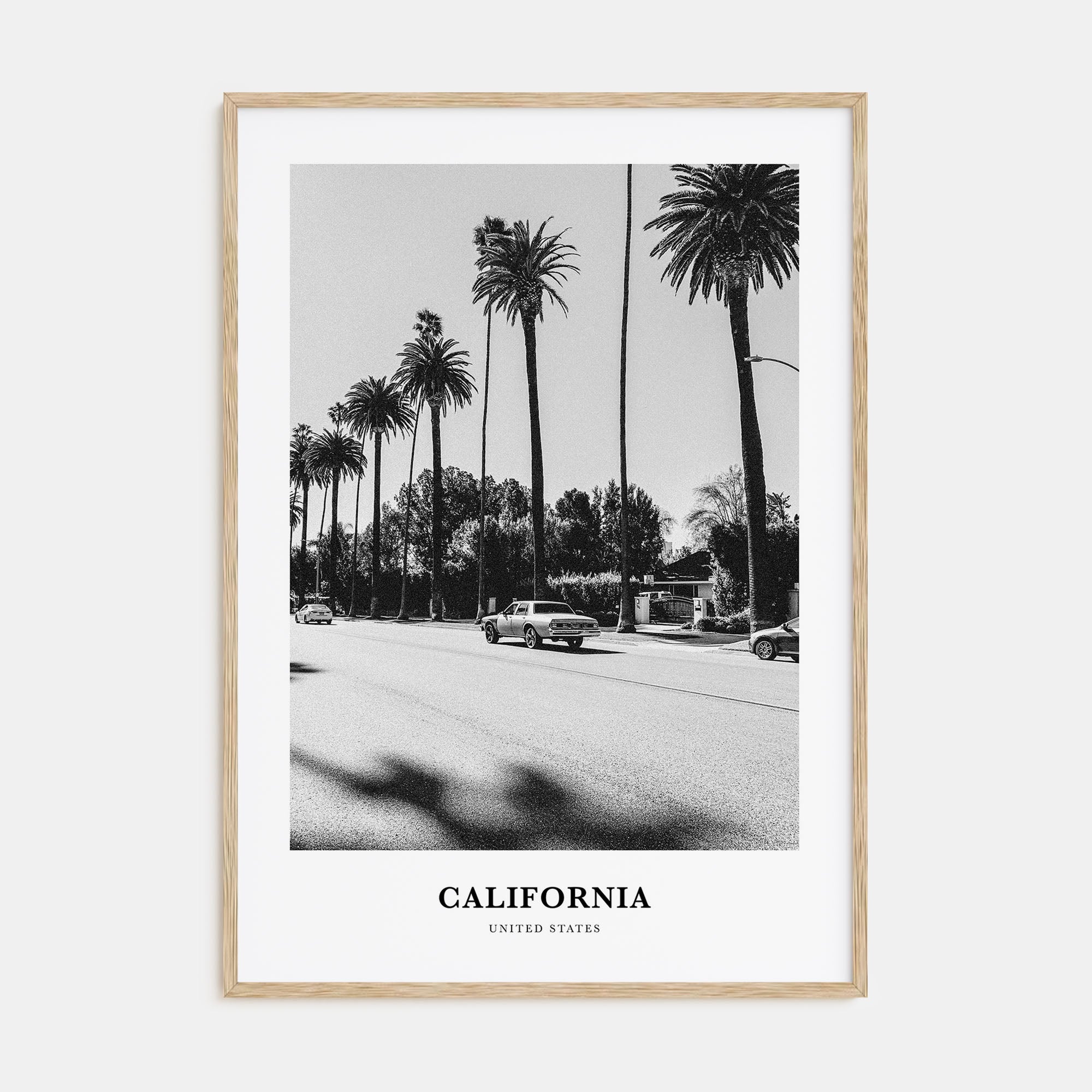 California Portrait B&W No 4 Poster