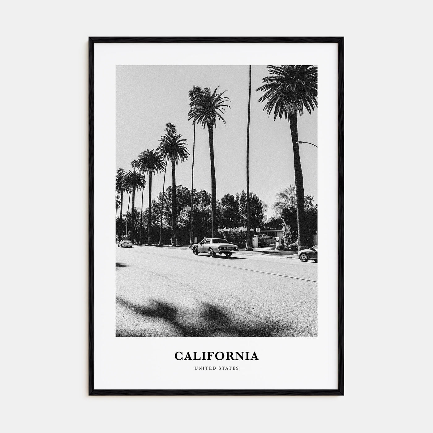 California Portrait B&W No 4 Poster