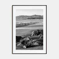 Cambria Photo B&W Poster