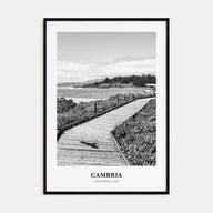 Cambria Portrait B&W Poster