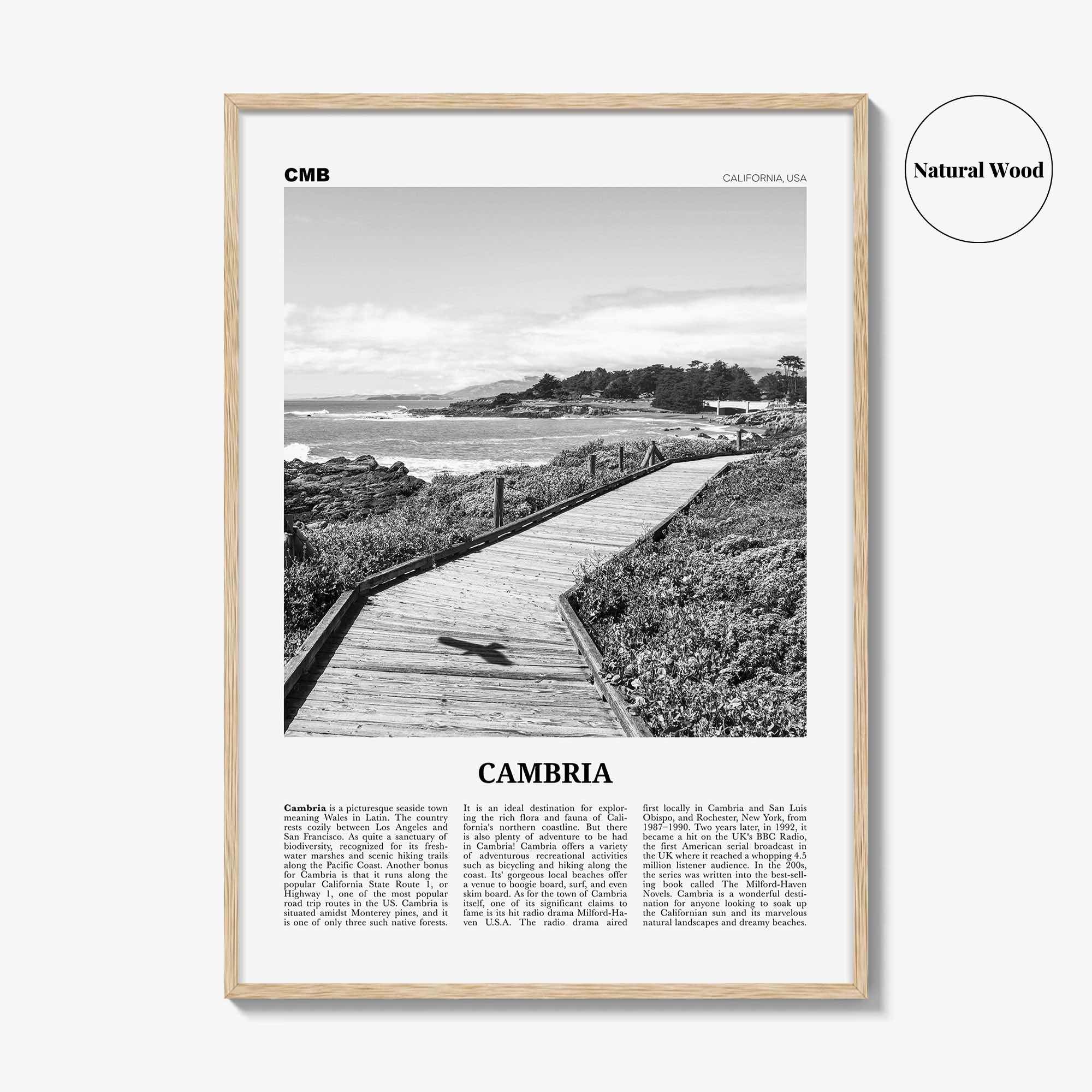 Cambria Print Black and White, Cambria Wall Art, Cambria Poster, Cambria Photo, Cambria Decor, California, USA, United States, North America