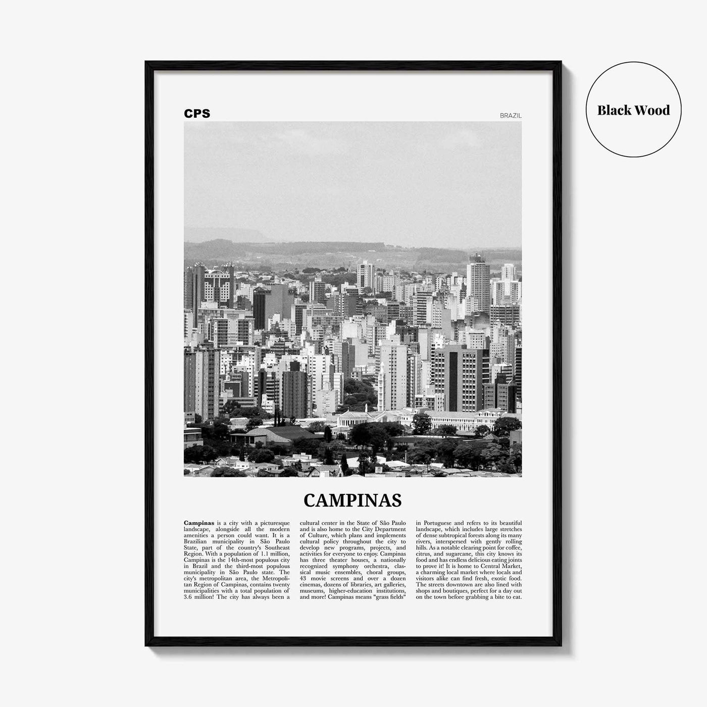 Campinas Print Black and White, Campinas Wall Art, Campinas Poster, Campinas Photo, Campinas Wall Decor, Brazil, Brasil, South America