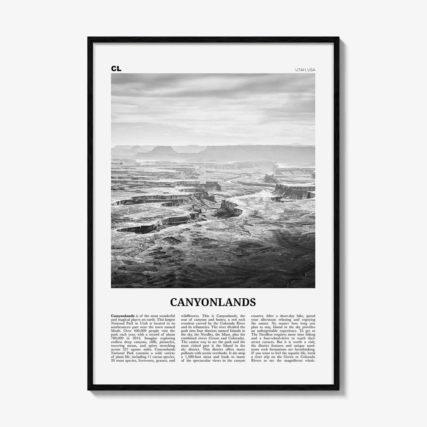 Canyonlands National Park Print Black and White, Canyonlands Wall Art, Canyonlands Poster, Canyonlands Photo, Utah, USA, United States
