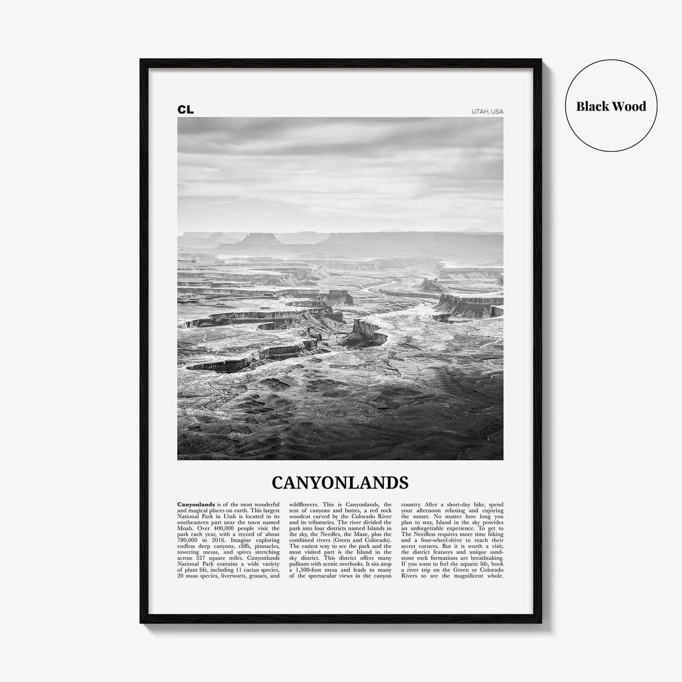 Canyonlands National Park Print Black and White, Canyonlands Wall Art, Canyonlands Poster, Canyonlands Photo, Utah, USA, United States