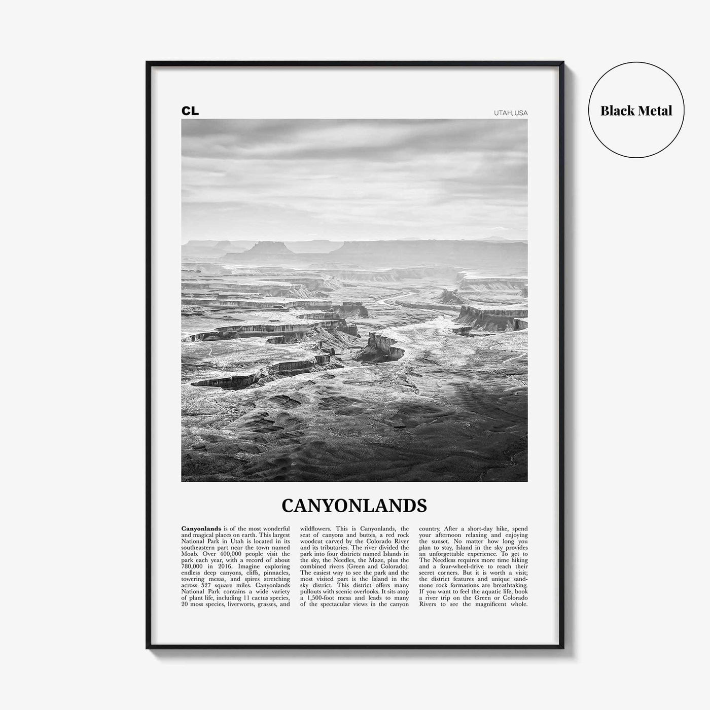 Canyonlands National Park Print Black and White, Canyonlands Wall Art, Canyonlands Poster, Canyonlands Photo, Utah, USA, United States