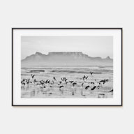 Cape Town Landscape B&W Poster