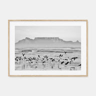 Cape Town Landscape B&W Poster