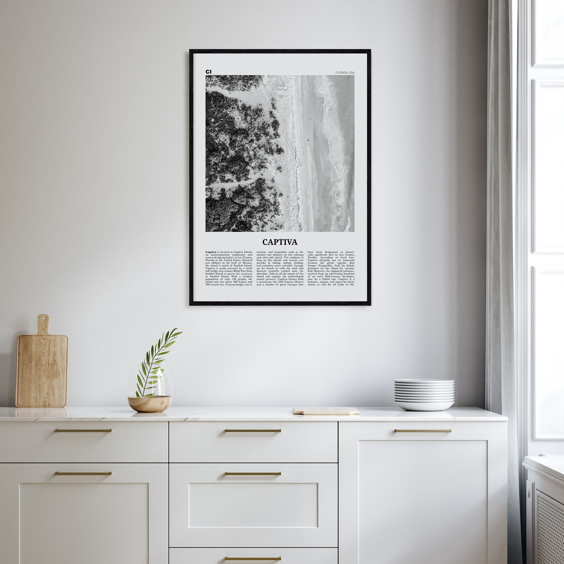 Captiva Travel B&W No 1 Poster