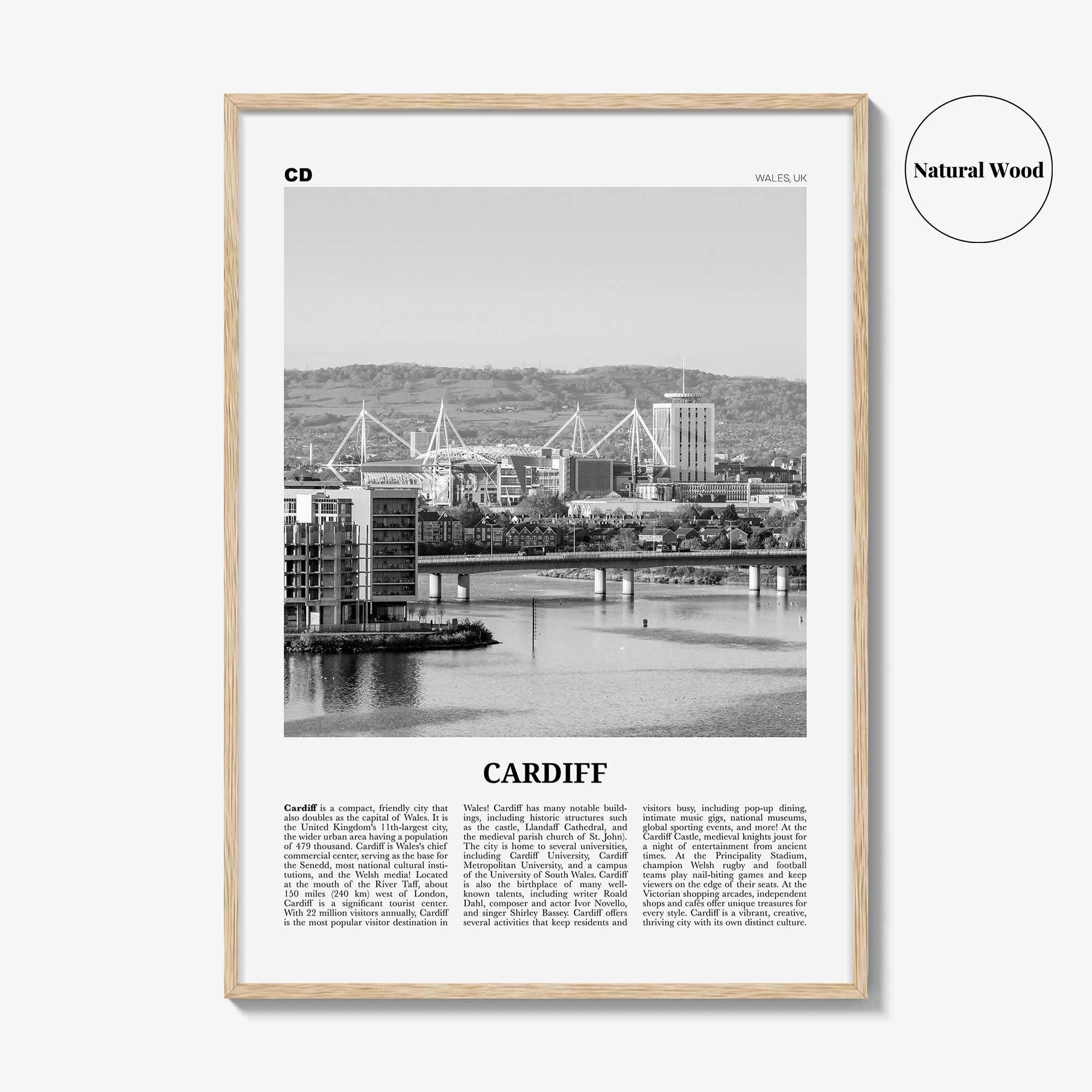 Cardiff Print Black and White, Cardiff Wall Art, Cardiff Poster, Cardiff Photo, Cardiff Wall Decor, Wales, UK, United Kingdom, Europe