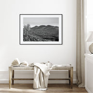 Catskill Mountains Landscape B&W Poster