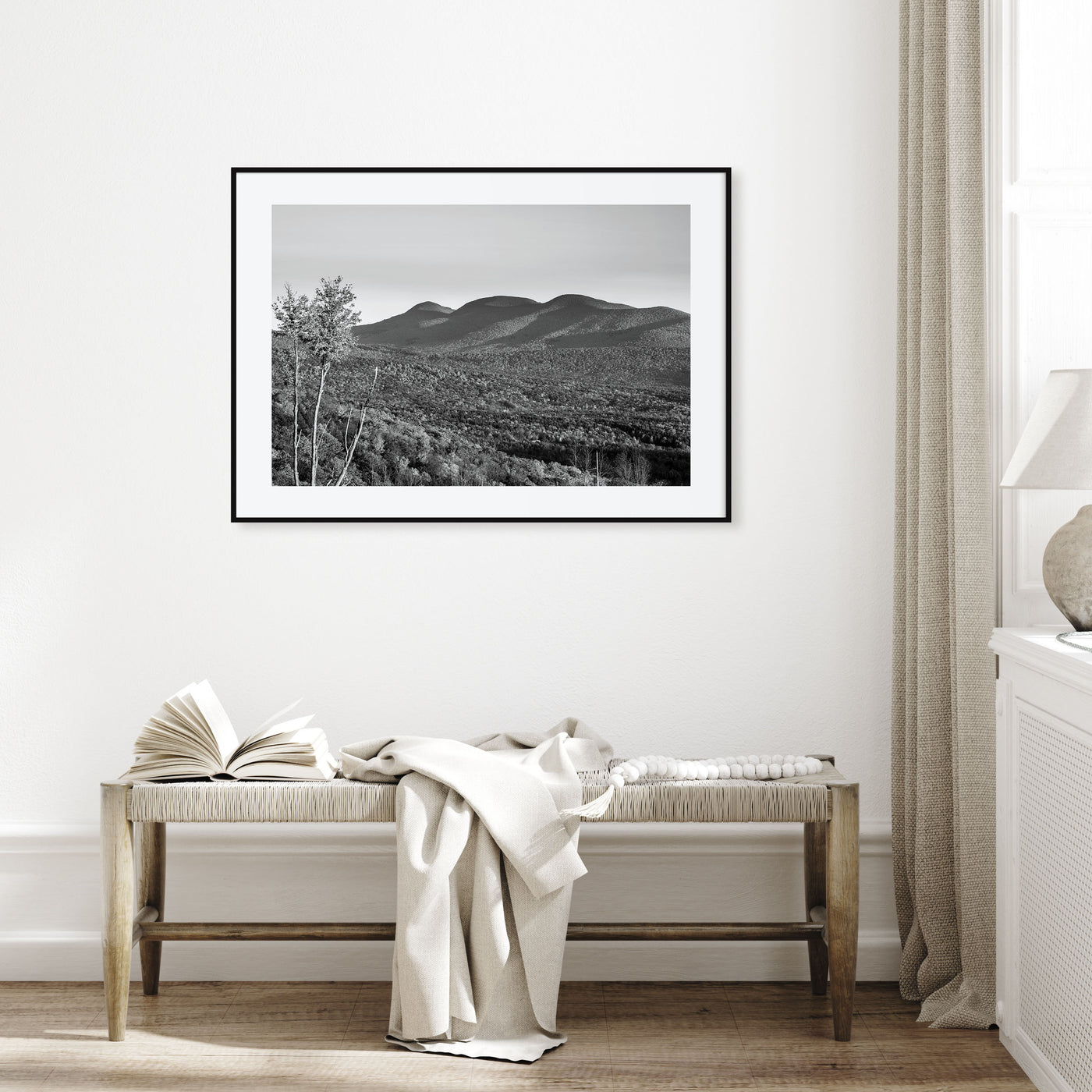 Catskill Mountains Landscape B&W Poster