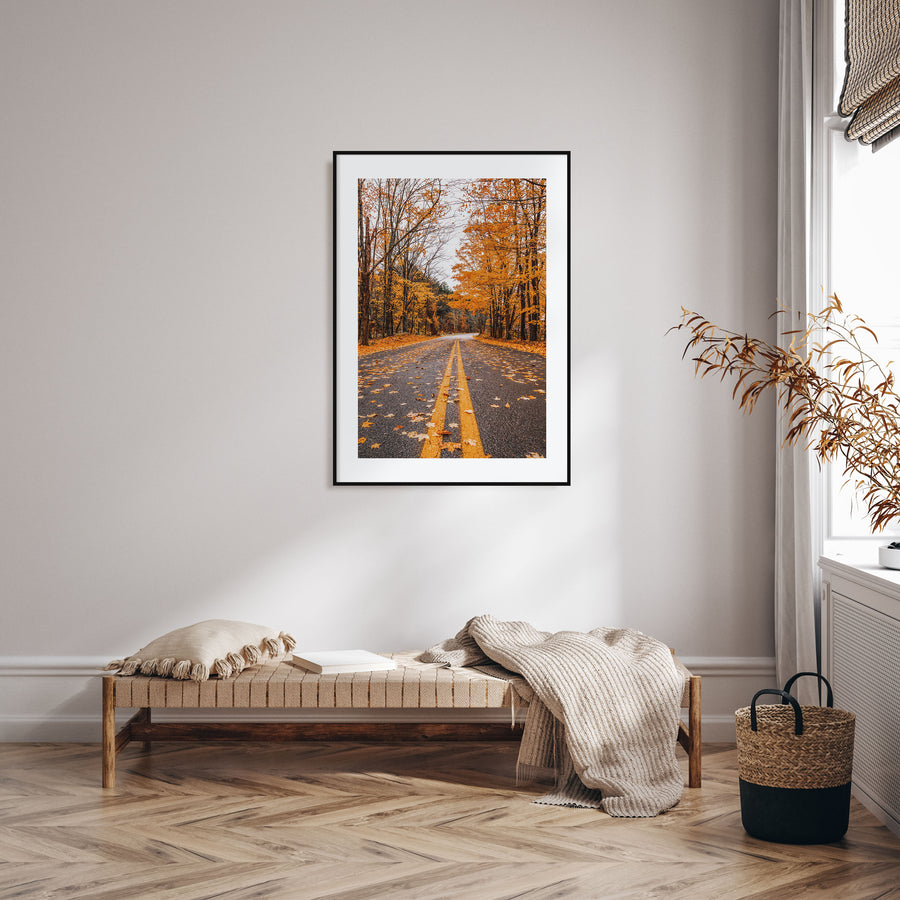 Catskill Mountains Photo Color No 3 Poster