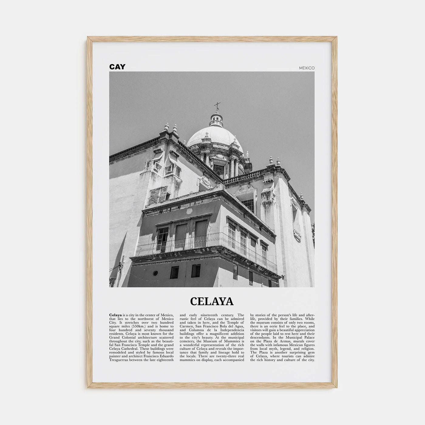 Celaya Travel B&W Poster