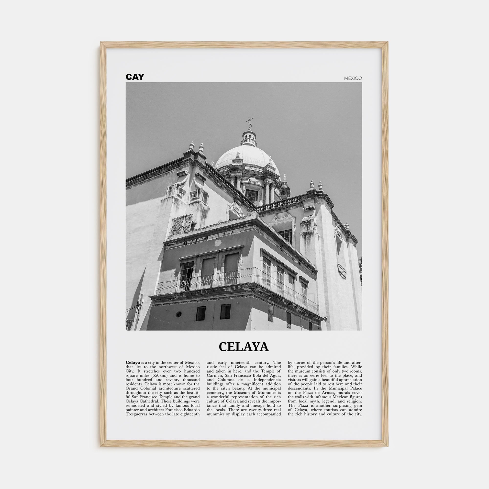 Celaya Travel B&W Poster