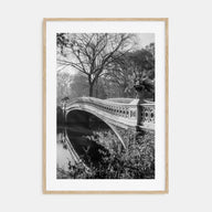 Central Park Photo B&W No 2 Poster