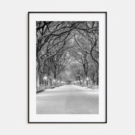 Central Park Photo B&W No 3 Poster