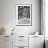 Central Park Photo B&W No 3 Poster