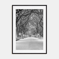 Central Park Photo B&W No 3 Poster