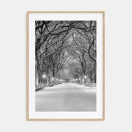 Central Park Photo B&W No 3 Poster
