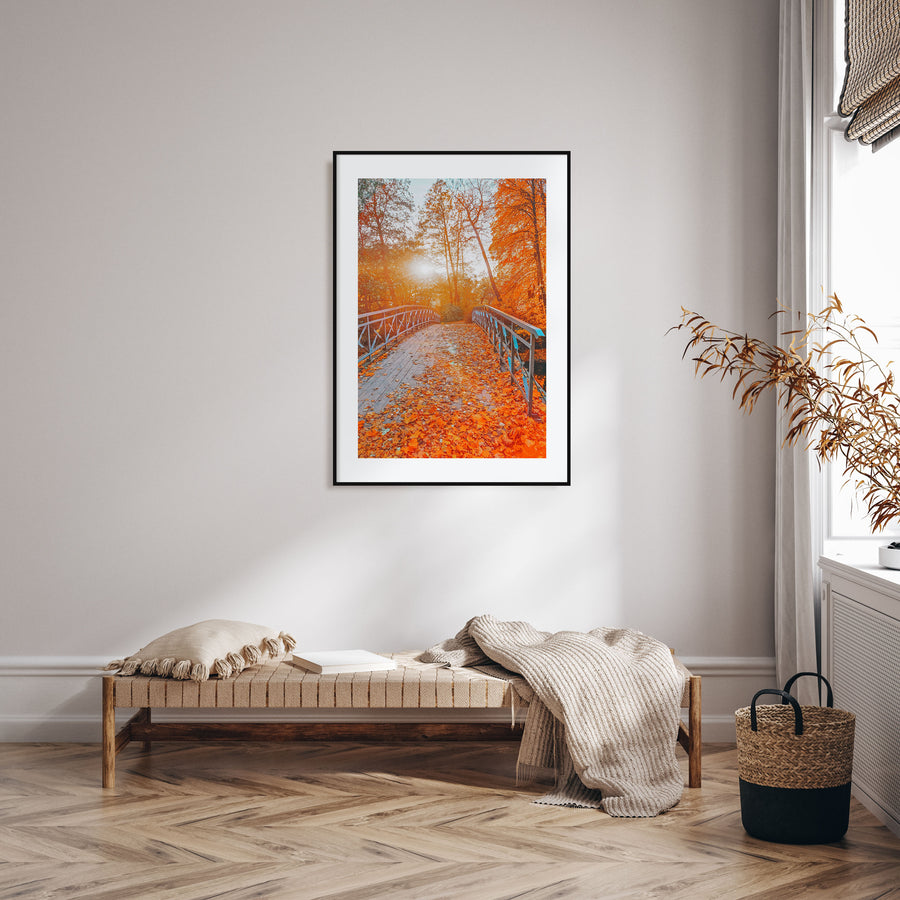 Central Park Photo Color No 2 Poster