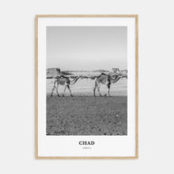 Chad Portrait B&W Poster
