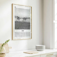 Chad Print Black and White, Chad Wall Art, Chad Poster, Chad Photo, Chad Wall Decor, Country Art Print, Africa