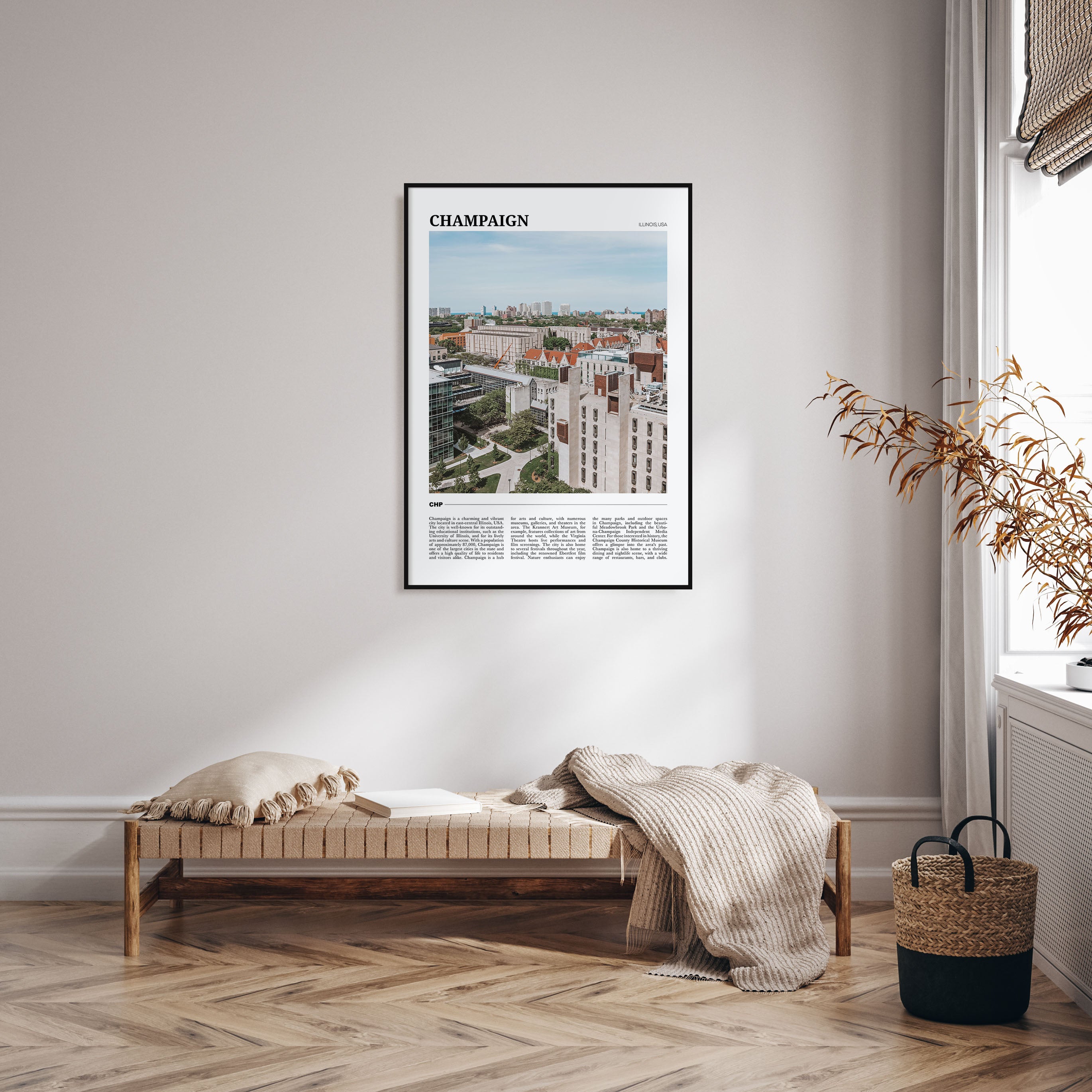 Champaign Travel Color Poster
