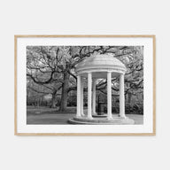 Chapel Hill Landscape B&W Poster