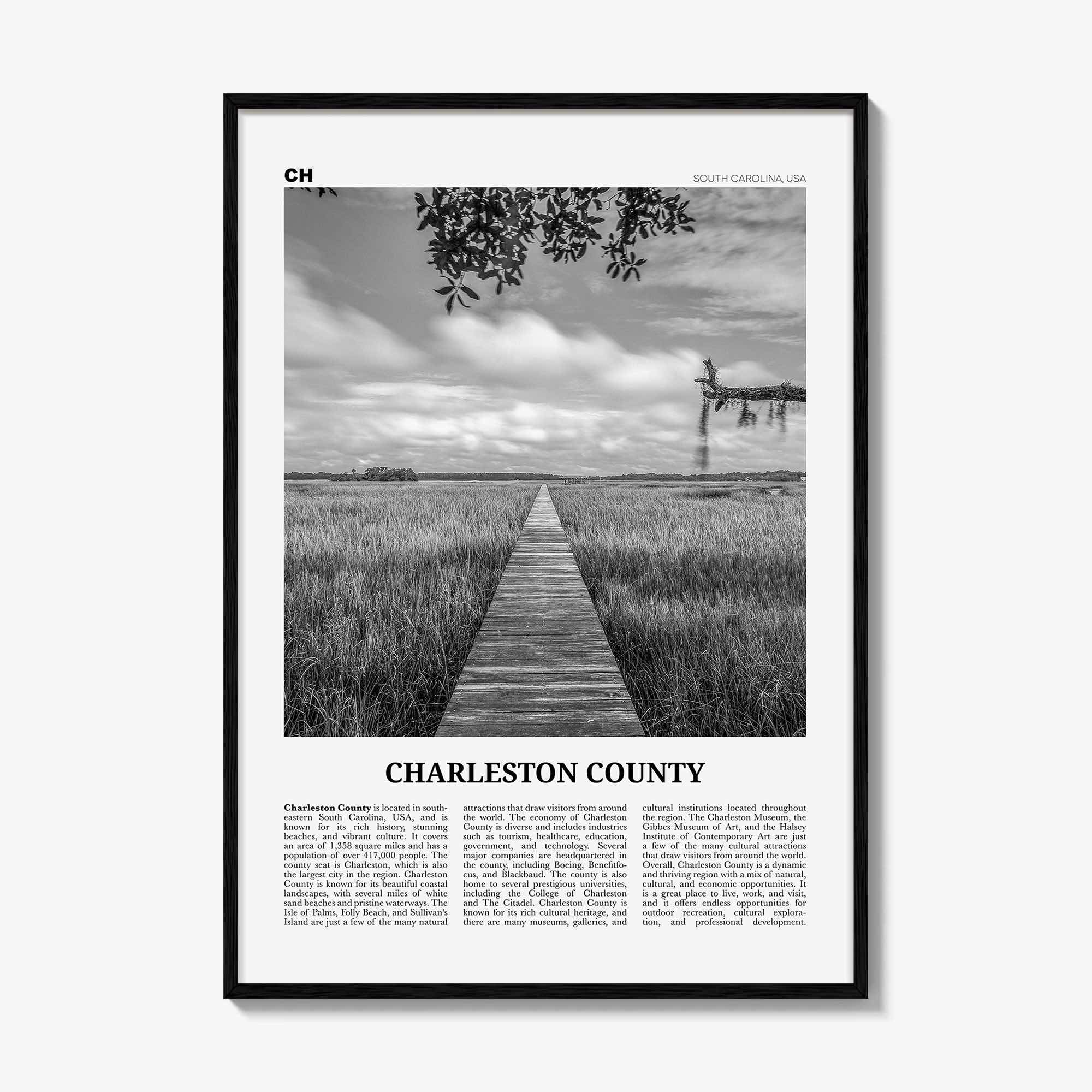 Charleston County Print Black and White, Charleston Wall Art, Charleston Poster, Charleston Photo, Charleston Wall Décor, Charleston Map
