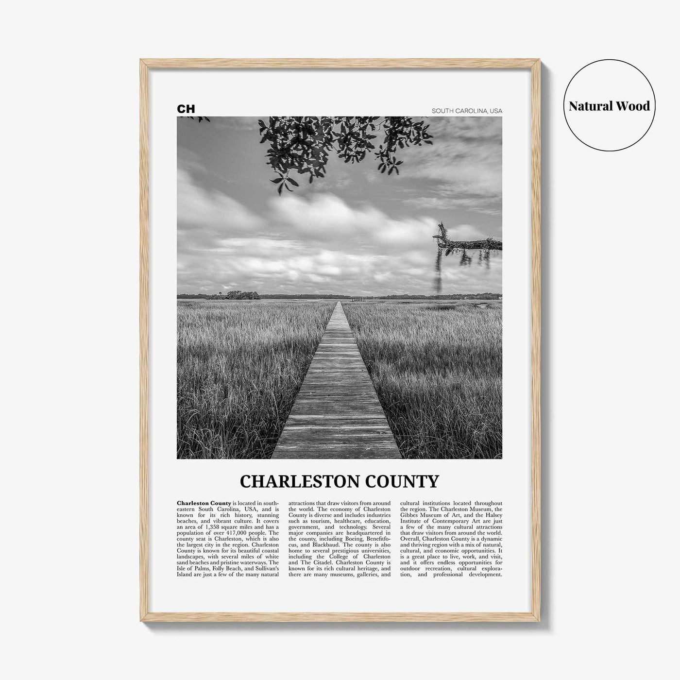 Charleston County Print Black and White, Charleston Wall Art, Charleston Poster, Charleston Photo, Charleston Wall Décor, Charleston Map