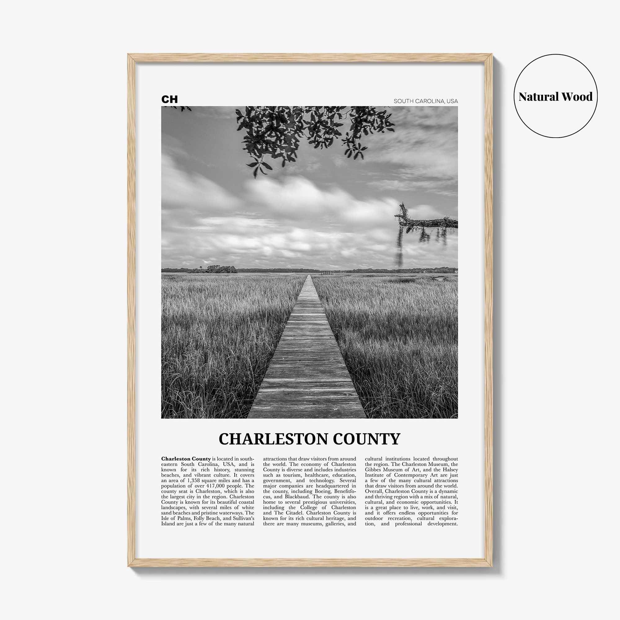 Charleston County Print Black and White, Charleston Wall Art, Charleston Poster, Charleston Photo, Charleston Wall Décor, Charleston Map