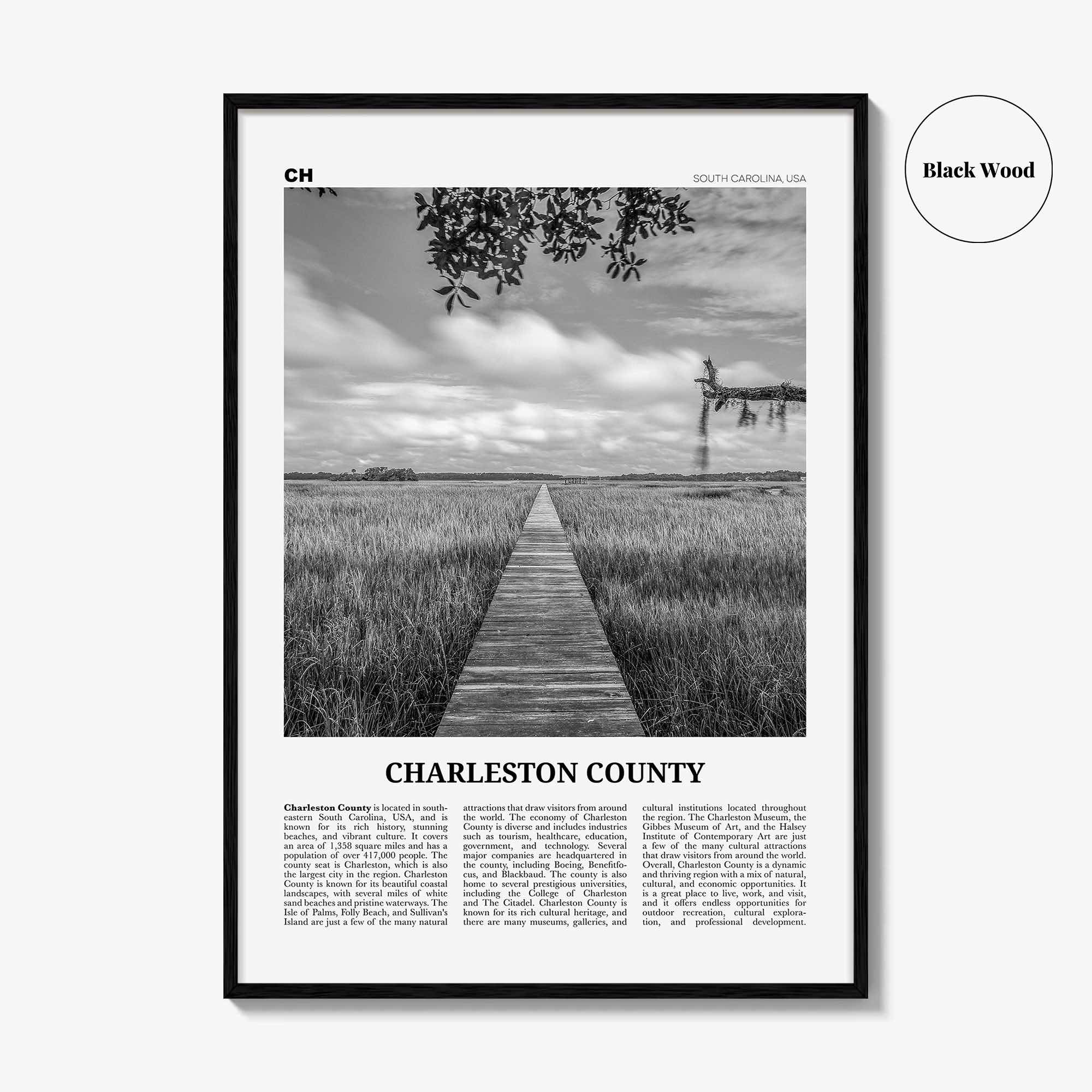 Charleston County Print Black and White, Charleston Wall Art, Charleston Poster, Charleston Photo, Charleston Wall Décor, Charleston Map