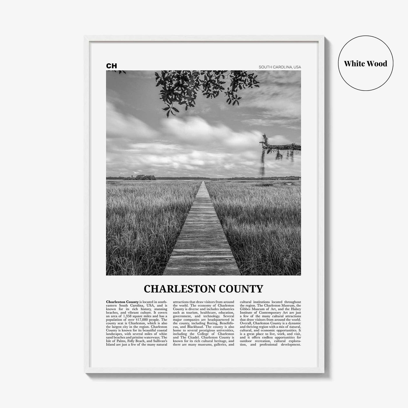 Charleston County Print Black and White, Charleston Wall Art, Charleston Poster, Charleston Photo, Charleston Wall Décor, Charleston Map