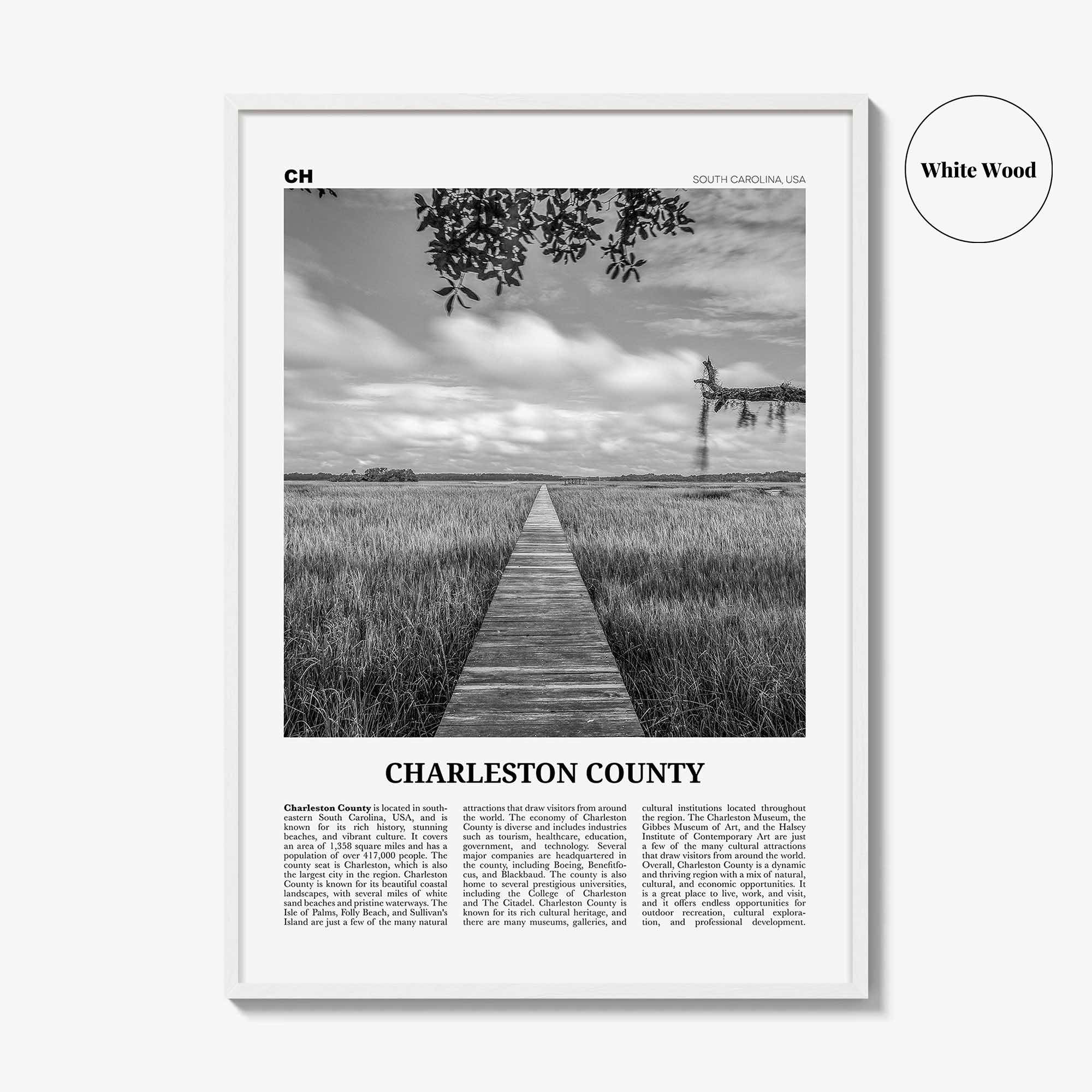 Charleston County Print Black and White, Charleston Wall Art, Charleston Poster, Charleston Photo, Charleston Wall Décor, Charleston Map