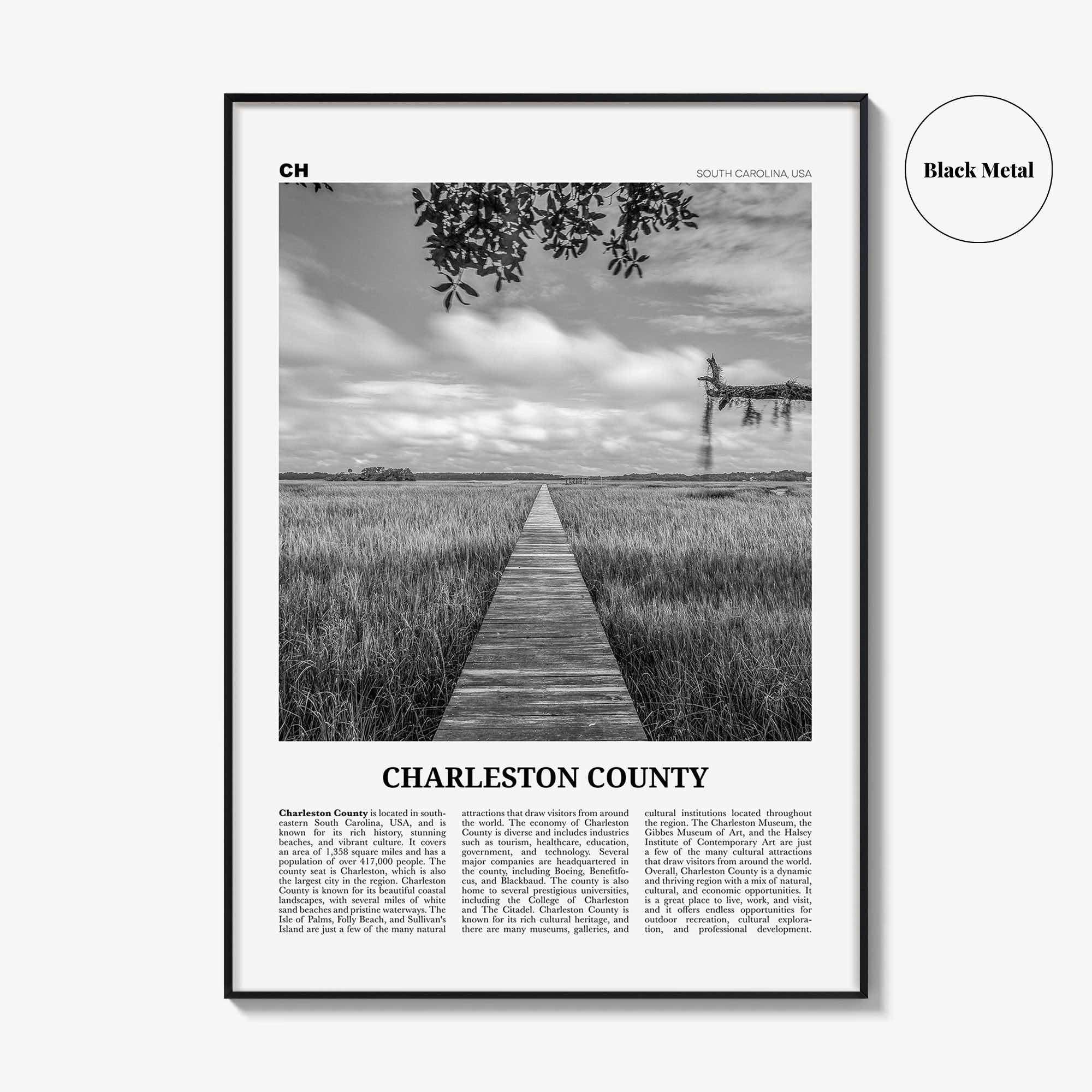 Charleston County Print Black and White, Charleston Wall Art, Charleston Poster, Charleston Photo, Charleston Wall Décor, Charleston Map