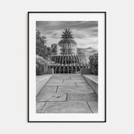 Charleston, South Carolina Photo B&W No 2 Poster