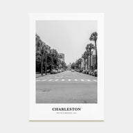Charleston, South Carolina Portrait B&W No 1 Poster