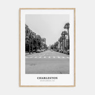 Charleston, South Carolina Portrait B&W No 1 Poster